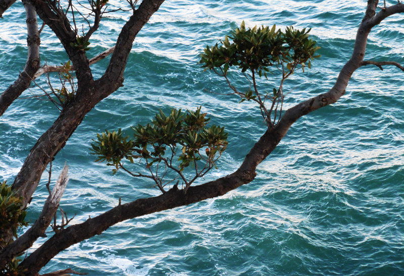 L'eau et le conte de Jean-Marc Talamoni